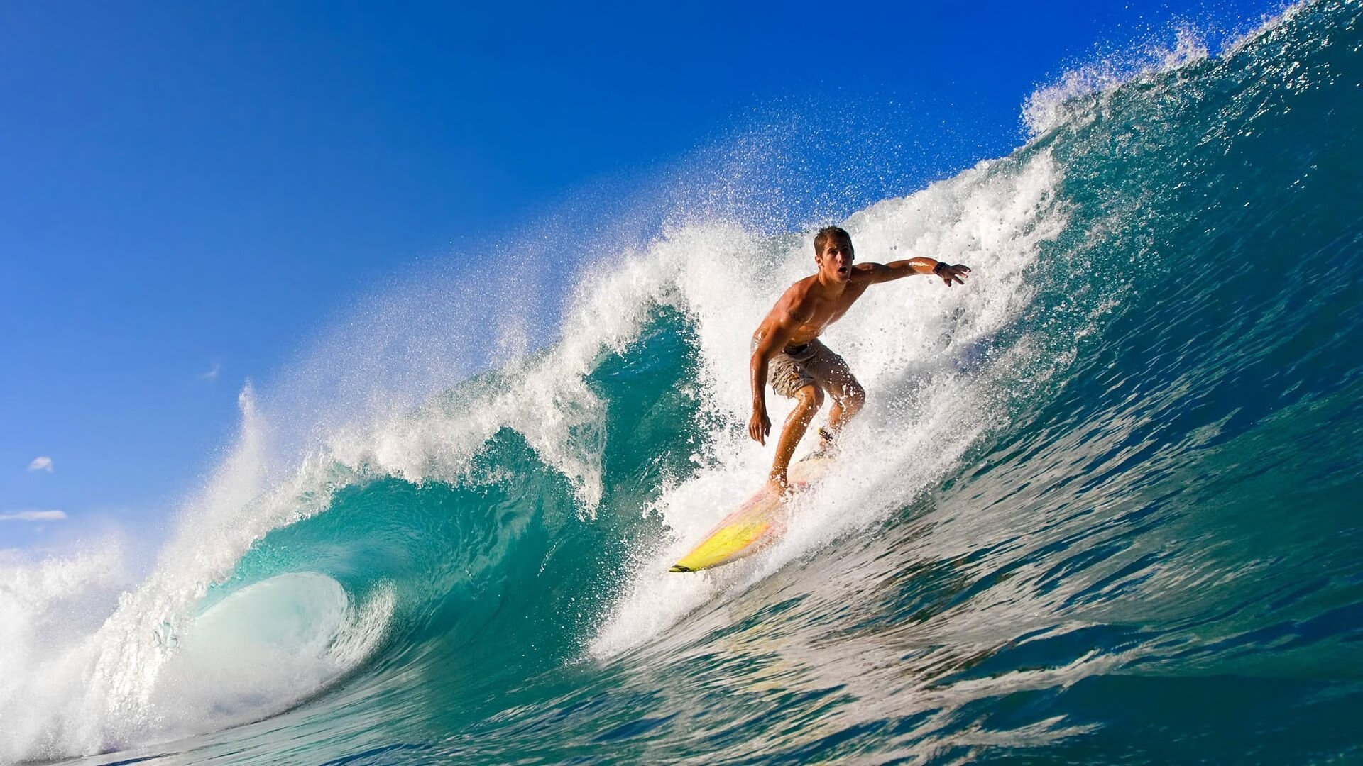 “华金·托比利亚的进攻意识与防守反应，成就阿根廷美洲狮队的综合实力”